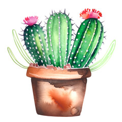 Kaktus w doniczce ilustracja - obrazy, fototapety, plakaty