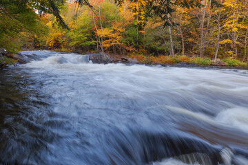 waterfall in autumn forest 1