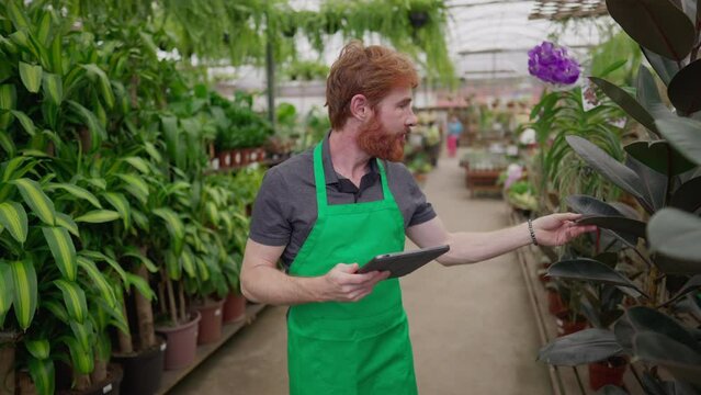 A male employee using tablet to browse inventory walking inside Flower Shop. Young man wearing green apron holding inspecting store with modern technology. Local business concept