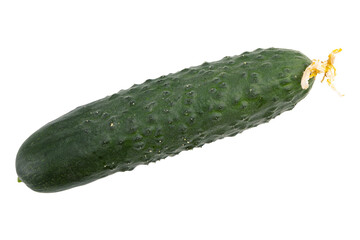 fresh raw cucumber isolated on white background with clipping path