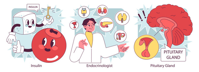 Endocrine system organs and disease set. Human glands function. Pituitary