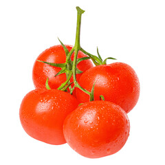 Bunch of tomatoes. Juicy fresh tomatoes with water drops. Isolated.
