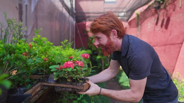 Happy man putting pot of plants back to shelf at horticulture Plant Store backyard. Joyful Florist male person with redhair