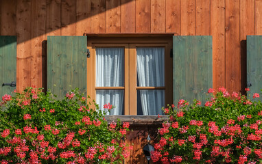 Fototapeta na wymiar Fenster mit grünen Fensterläden und Geranien