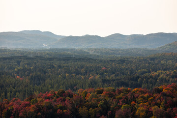 Fototapeta premium Aerial view of winding river in Laurentian mountains, Quebec, Canada during the fall foliage season