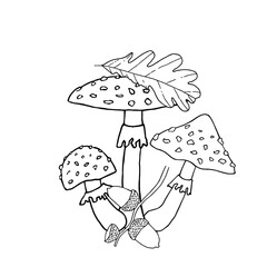 Composition of mushrooms with leaf and acorns. Hand drawn vector illustration. For coloring, cards, printing, packaging, invitations, business cards, advertising