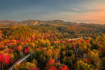 Foto auf Glas Aerial view of winding river in Laurentian mountains, Quebec, Canada during the fall foliage © Ievgenii