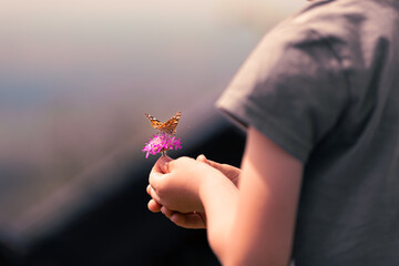 Little child holding flower with butterfly. environmental education, I love nature concept 