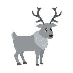arctic deer illustration