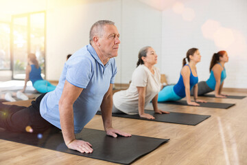 Focused aged man doing yoga in group of adults in modern studio, standing in upward facing dog pose. Healthy sports lifestyle concept