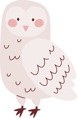 Owl Animal Icon