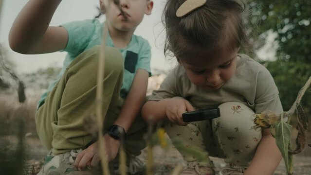 Two little children boy and girl looking, examining plants through magnifying glass while exploring lawn nature and environment. Summer day during outdoor