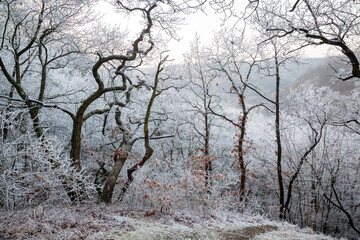 winter, winter time, winter landscape, frosty landscape, fairy tale winter