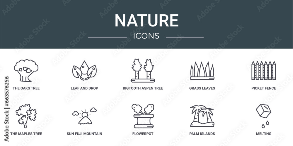 Poster set of 10 outline web nature icons such as the oaks tree, leaf and drop, bigtooth aspen tree, grass 