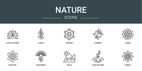 set of 10 outline web nature icons such as lotus flower, larch, jonquil, iceberg, aster, daffodil, knapweed vector icons for report, presentation, diagram, web design, mobile app - obrazy, fototapety, plakaty