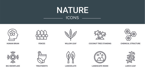 set of 10 outline web nature icons such as human brian, fences, willow leaf, coconut tree standing, chemical structure, big snowflake, treatments vector icons for report, presentation, diagram, web © Digital Bazaar