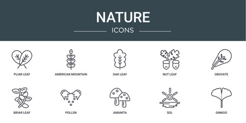 set of 10 outline web nature icons such as plum leaf, american mountain ash, oak leaf, nut leaf, obovate, briar pollen vector icons for report, presentation, diagram, web design, mobile app