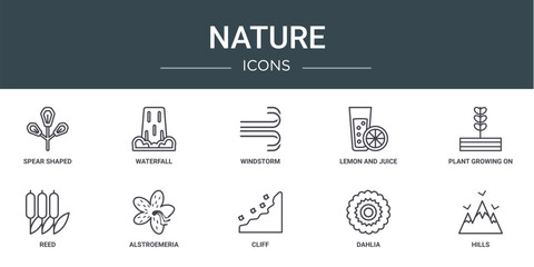 set of 10 outline web nature icons such as spear shaped, waterfall, windstorm, lemon and juice drop out, plant growing on book, reed, alstroemeria vector icons for report, presentation, diagram, web