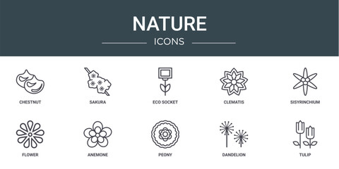 set of 10 outline web nature icons such as chestnut, sakura, eco socket, clematis, sisyrinchium, flower, anemone vector icons for report, presentation, diagram, web design, mobile app