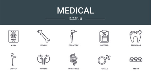 set of 10 outline web medical icons such as x ray, femur, otoscope, notepad, premolar, crutch, kidneys vector icons for report, presentation, diagram, web design, mobile app