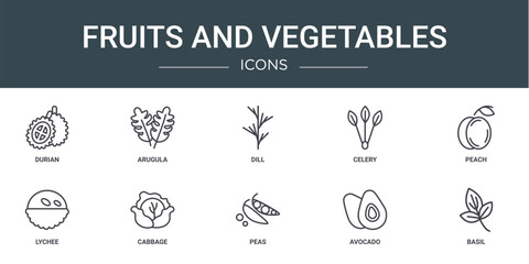 set of 10 outline web fruits and vegetables icons such as durian, arugula, dill, celery, peach, lychee, cabbage vector icons for report, presentation, diagram, web design, mobile app