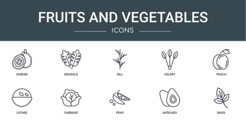 Fotobehang set of 10 outline web fruits and vegetables icons such as durian, arugula, dill, celery, peach, lychee, cabbage vector icons for report, presentation, diagram, web design, mobile app © Digital Bazaar