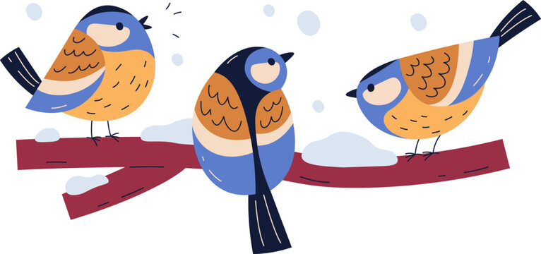 Tits Bird Sitting On Branch