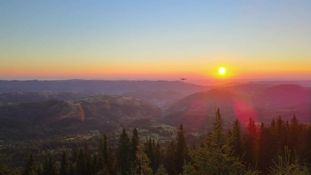 Drone flying over dark pine forest illuminated with bright setting sun taking pictures on beautiful nature landscape. Aerial view of colorful sunset in wild mountains