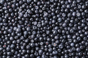 Many delicious ripe bilberries as background, top view