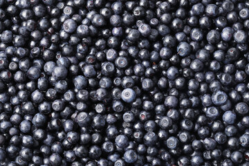Many delicious ripe bilberries as background, top view