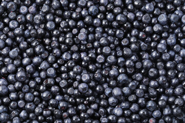 Many delicious ripe bilberries as background, top view