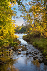 Fototapeta na wymiar Springbrook Creek Autumn Colors from Riverview Heights Park in Fridley Minnesota