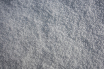 Fototapeta premium Snow background, snow texture. Top view of the snow. Winter texture for design.