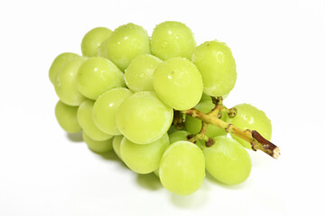白背景のシャインマスカット
