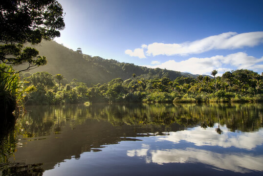 The Kōhaihai River mouth at the start or end of the Heaphy Track on New Zealand's South Island.