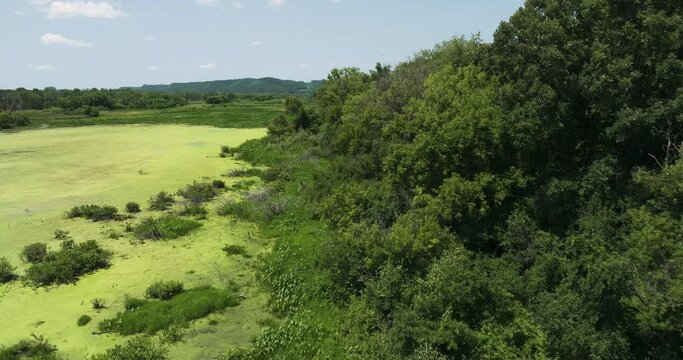 Mississippi River backwaters providing resting and feeding areas for waterfowl.