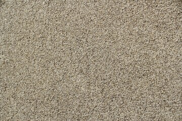 Fototapeta premium wall texture with coarse sand texture