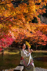portrait young asian girl traveller in traditional kimino dress holding meple leavse sit on a wooden table in autumn leaves season at the public park in japan,.