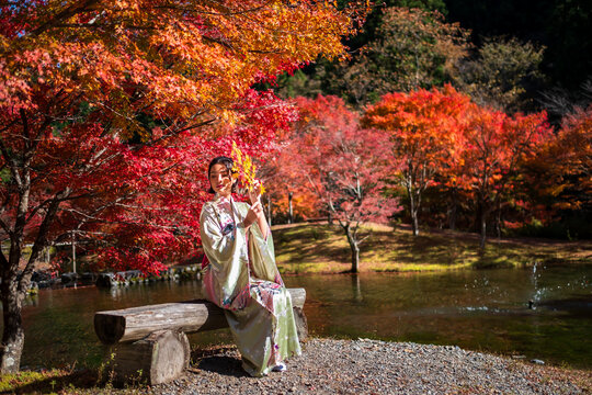 portrait young asian girl traveller in traditional kimino dress holding meple leavse sit on a wooden table in autumn leaves season at the public park in japan,.