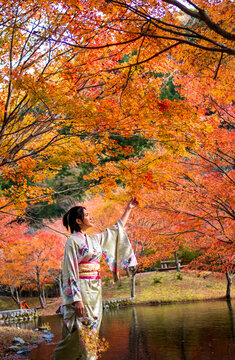portrait of young asian girl traveller in traditional kimino dress standing holding meple leavse in the autumn leaves season at the public park in japan,