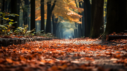 Naklejka na ściany i meble autumn in the forest HD 8K wallpaper Stock Photographic Image
