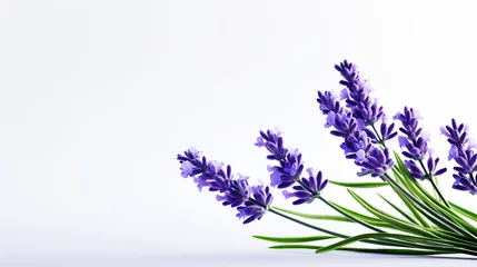Keuken spatwand met foto Photo of Lavender flower isolated on white background © moufau