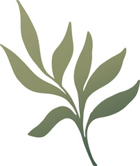 Leaf Vector Illustration