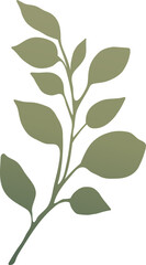 Leaf Vector Illustration