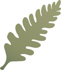 Leaf Vector Illustration