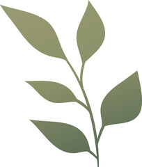 Leaf Vector Illustration