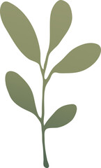 Leaf Vector Illustration