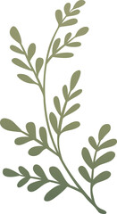 Leaf Vector Illustration