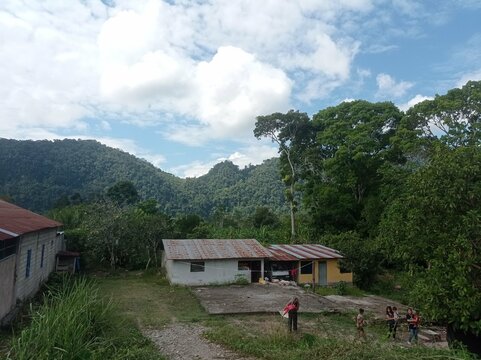 casa de campo en la selva