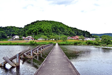 願い橋　斐伊川堤防桜並木　島根